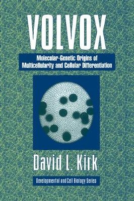 Volvox - David L. Kirk