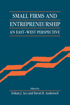 Small Firms and Entrepreneurship - 