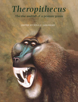 Theropithecus - 