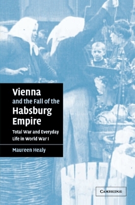 Vienna and the Fall of the Habsburg Empire - Maureen Healy