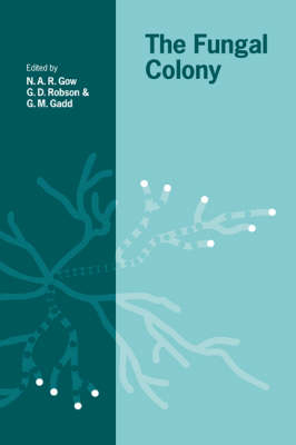 The Fungal Colony - 