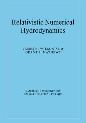 Relativistic Numerical Hydrodynamics - James R. Wilson, Grant J. Mathews