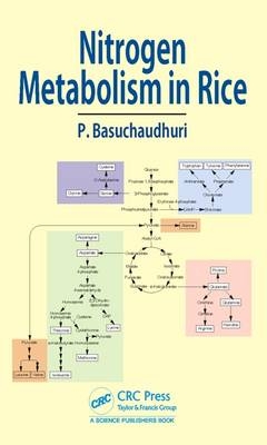 Nitrogen Metabolism in Rice -  Pranab Basuchaudhuri