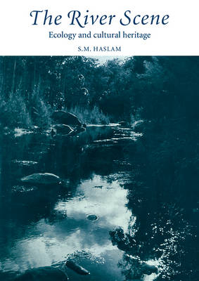 The River Scene - S. M. Haslam