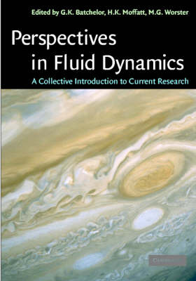 Perspectives in Fluid Dynamics - 