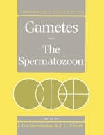 Gametes - The Spermatozoon - 