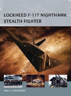 Lockheed F-117 Nighthawk Stealth Fighter - Paul F. Crickmore