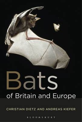 Bats of Britain and Europe -  Andreas Kiefer,  Christian Dietz