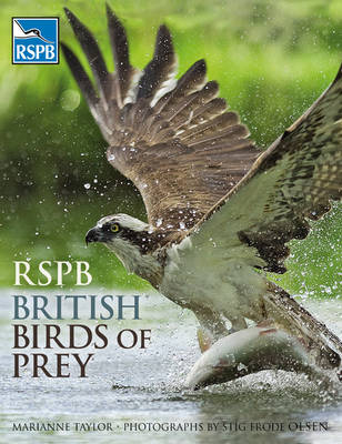 RSPB British Birds of Prey -  Marianne Taylor