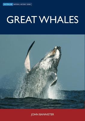 Great Whales - John Bannister