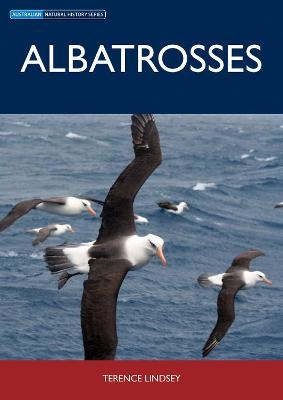 Albatrosses - Terence Lindsey