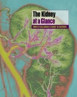 The Kidney at a Glance - Christopher O'Callaghan, Barry M. Brenner