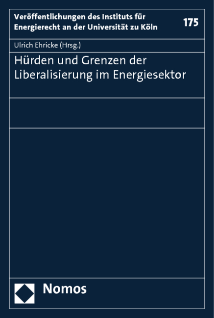 Hürden und Grenzen der Liberalisierung im Energiesektor - 