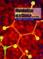 Metabolism at a Glance - J. G. Salway