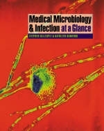 Medical Microbiology and Infection at a Glance - Stephen Gillespie, Kathleen Bamford