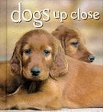 Dogs Up Close - Vicki Croke