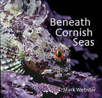 Beneath Cornish Seas - Mark Webster