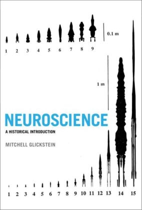 Neuroscience -  Mitchell Glickstein