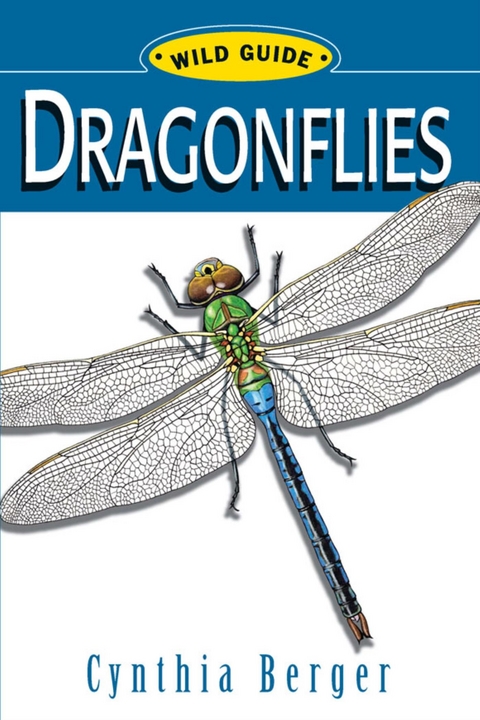 WG: Dragonflies -  Cynthia Berger