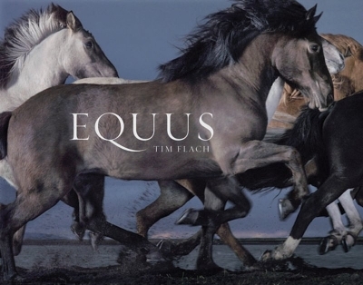 Equus - Tim Flach