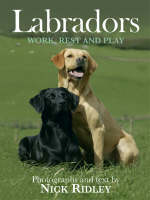 Labradors - 