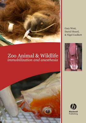 Zoo Animal and Wildlife - 