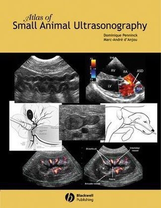 Atlas of Small Animal Ultrasonography - 