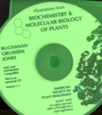 Biochemistry and Molecular Biology of Plants - 