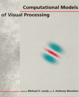 Computational Models of Visual Processing - 