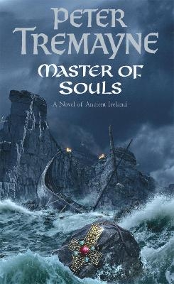 Master Of Souls (Sister Fidelma Mysteries Book 16) - Peter Tremayne