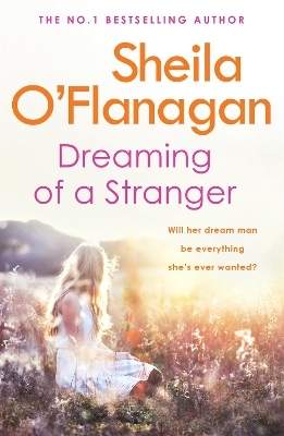 Dreaming of a Stranger - Sheila O'Flanagan