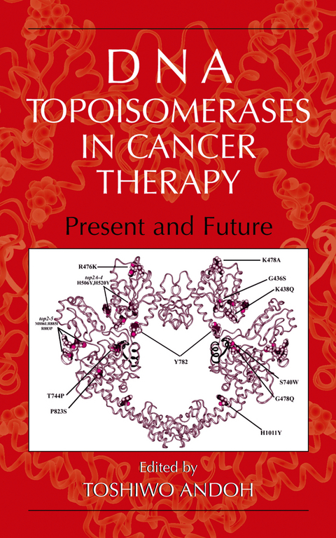 DNA Topoisomerases in Cancer Therapy - 