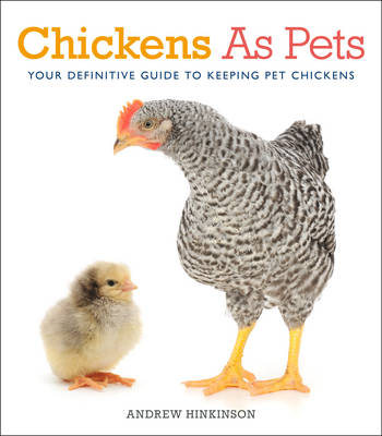 Chickens as Pets - Andrew Hinkinson