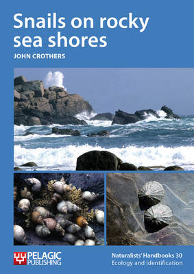 Snails on rocky sea shores -  John Crothers