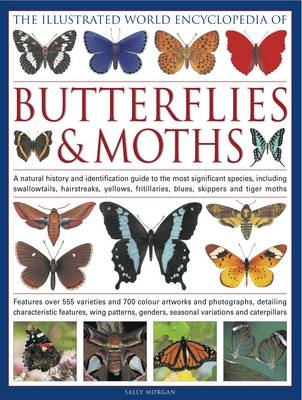 Illustrated World Encyclopedia of Butterflies & Moths - Sally Morgan