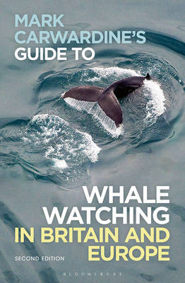 Mark Carwardine's Guide To Whale Watching In Britain And Europe -  Mark Carwardine