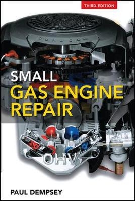 Small Gas Engine Repair - Paul Dempsey