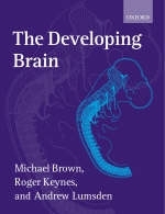 The Developing Brain - Michael Brown, Roger Keynes, Andrew Lumsden