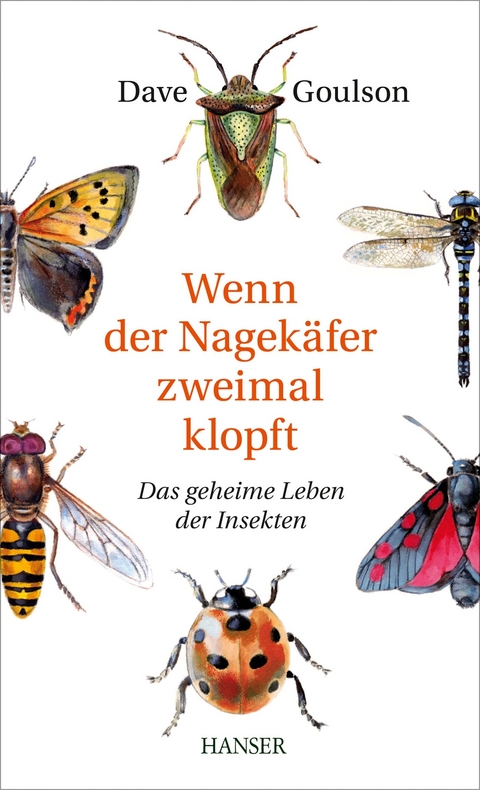 Wenn der Nagekäfer zweimal klopft - Dave Goulson