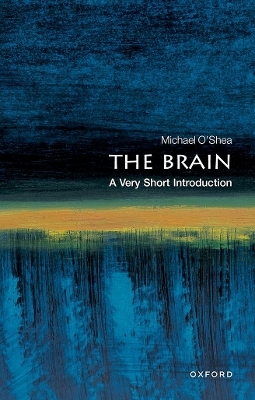 The Brain - Michael O'Shea