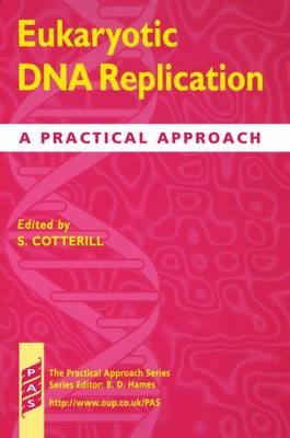 Eukaryotic DNA Replication - 