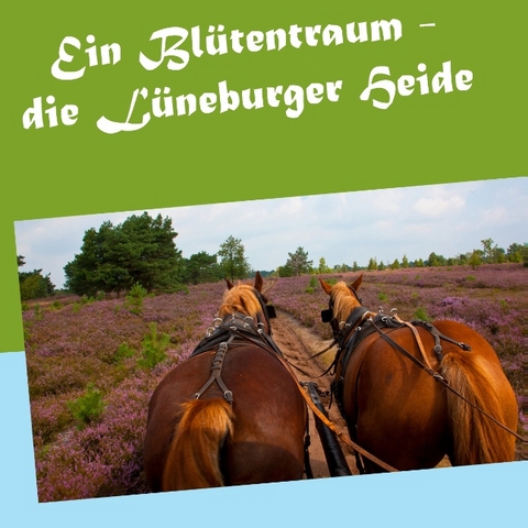 Ein Blütentraum - die Lüneburger Heide - Gerhard Köhler