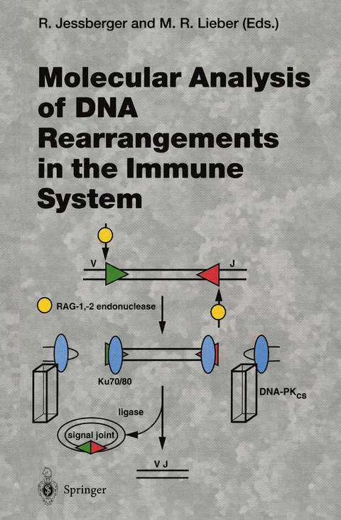 Molecular Analysis of DNA Rearrangements in the Immune System - 