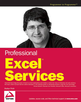 Professional Excel Services - Shahar Prish