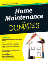 Home Maintenance For Dummies - James Carey, Morris Carey