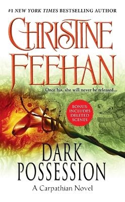 Dark Possession - Christine Feehan