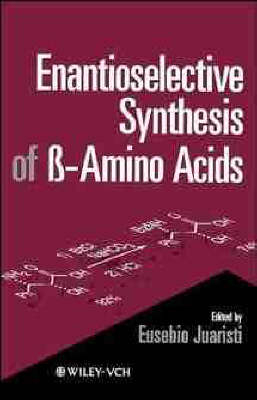 Enantioselective Synthesis of Beta-Amino Acids - 