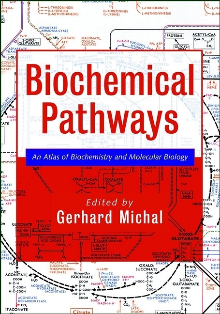 Biochemical Pathways - 