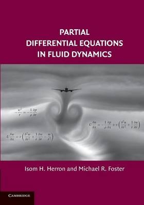 Partial Differential Equations in Fluid Dynamics - Isom H. Herron, Michael R. Foster