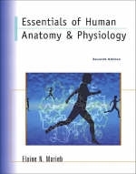 Essentials of Human Anatomy & Physiology with                         PhysioEx V4.0:Laboratory Simulations in Physiology (Stand alone)      CD Rom Version - Elaine N. Marieb, Peter Zao, Timothy N. Stabler